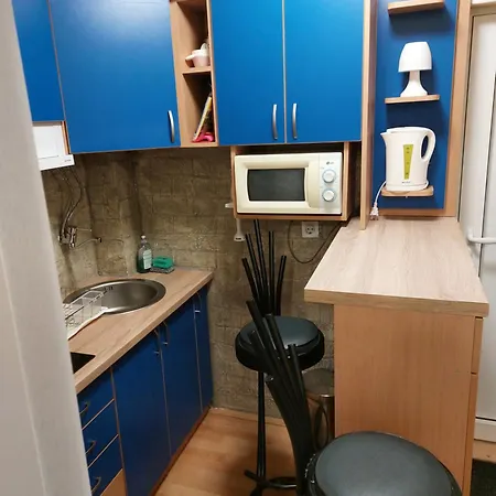 Apartment Maki Zlatibor